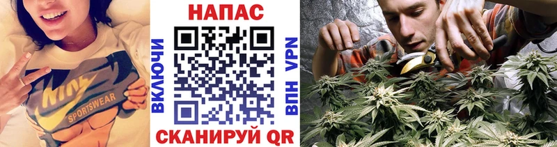 Канабис OG Kush  Чулым 